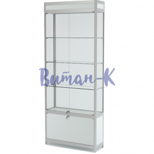 Витрина из профиля с накопителем